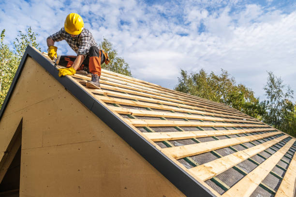 Best Roof Gutter Cleaning  in Stanton, KY